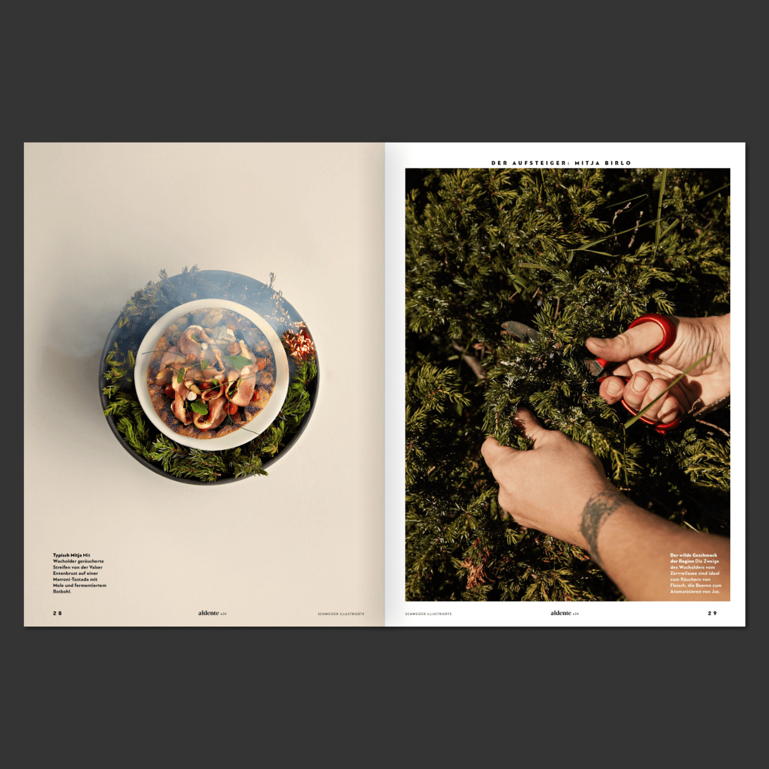 Aldente Project Page