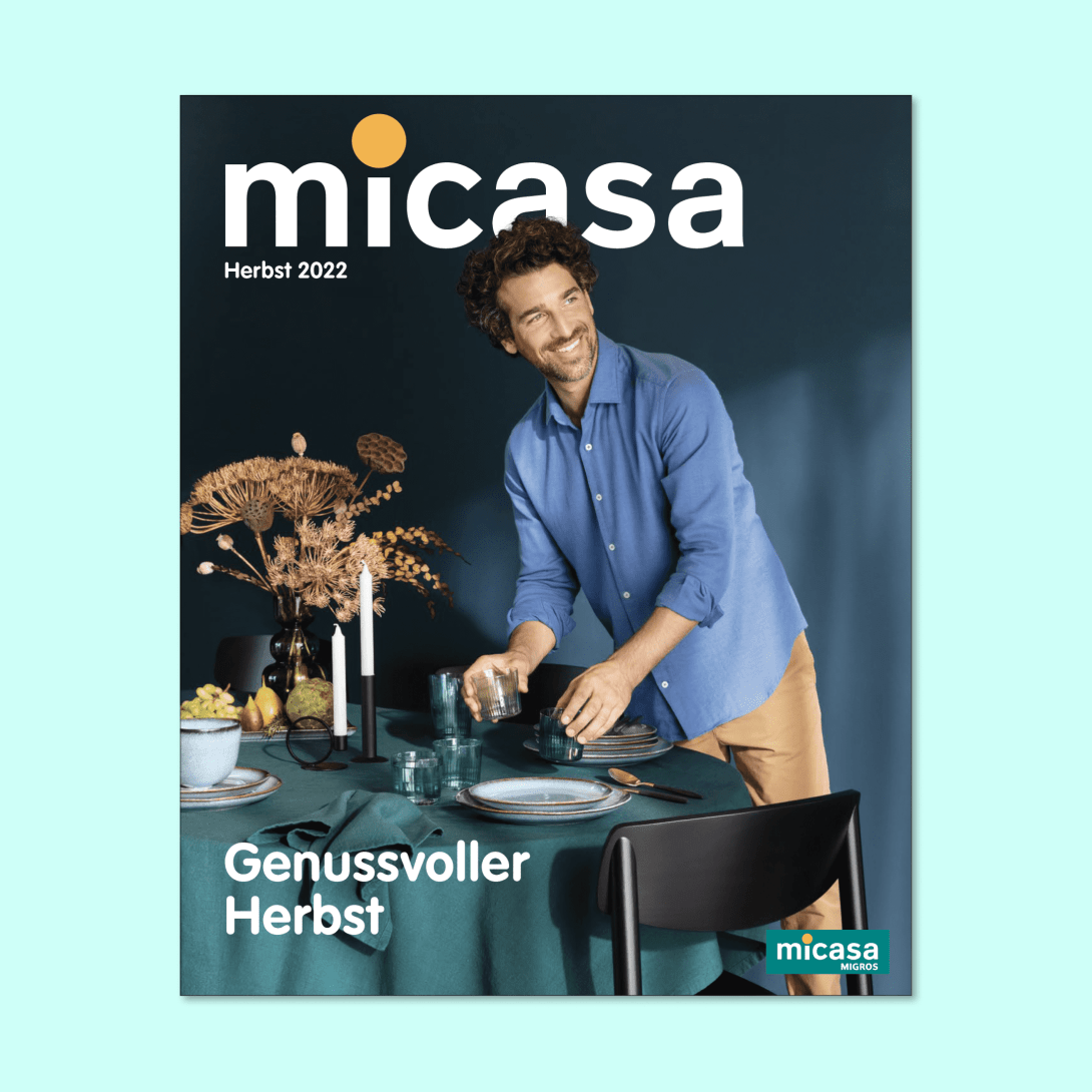 Micasa Project Page